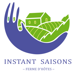 Instant Saisons